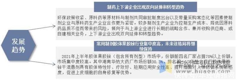 原料药市场现状与新兴供应商优势分析